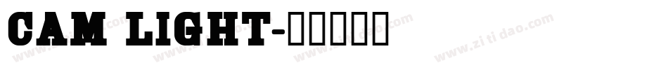 Cam Light字体转换